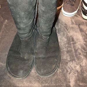Bear paw size 8